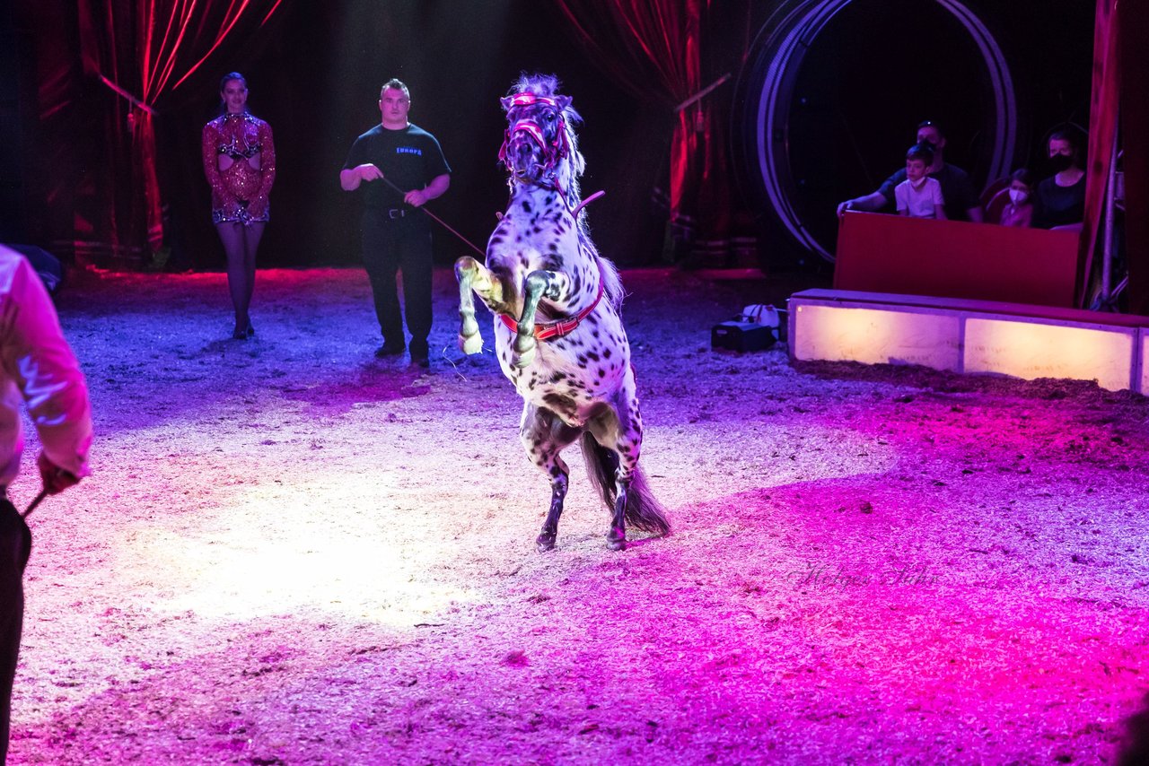 Bild 399 - Zirkus Europa